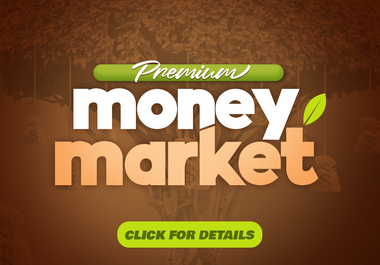 premium money market box